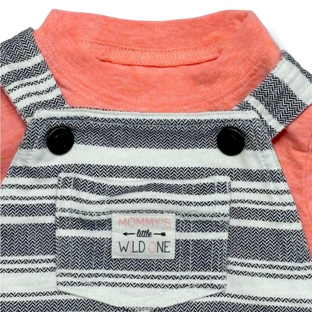 CARTER’S 2 Piece Tee & Shortalls Set - Mommy’s Little Wild One - Picture 2 of 7